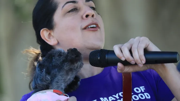 All howl Chloe Queen of WeHo, our first Pet Mayor! — source photograph 1