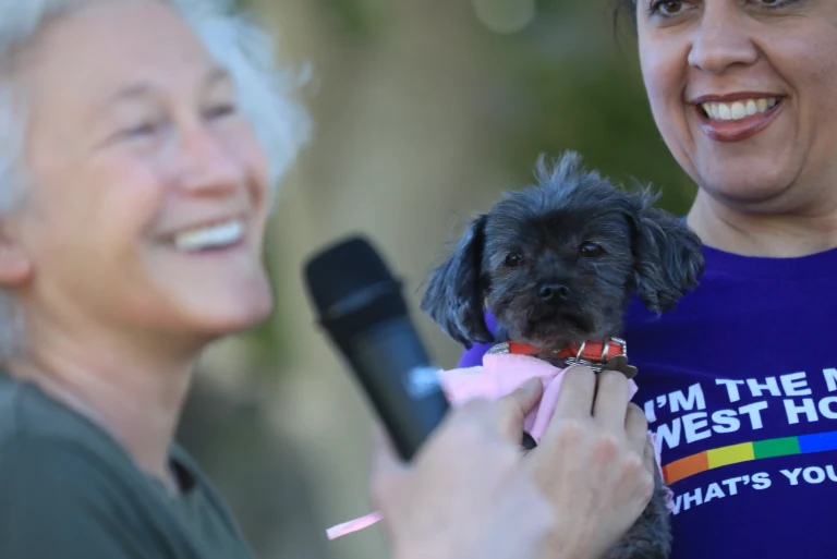 All howl Chloe Queen of WeHo, our first Pet Mayor! — source photograph 7