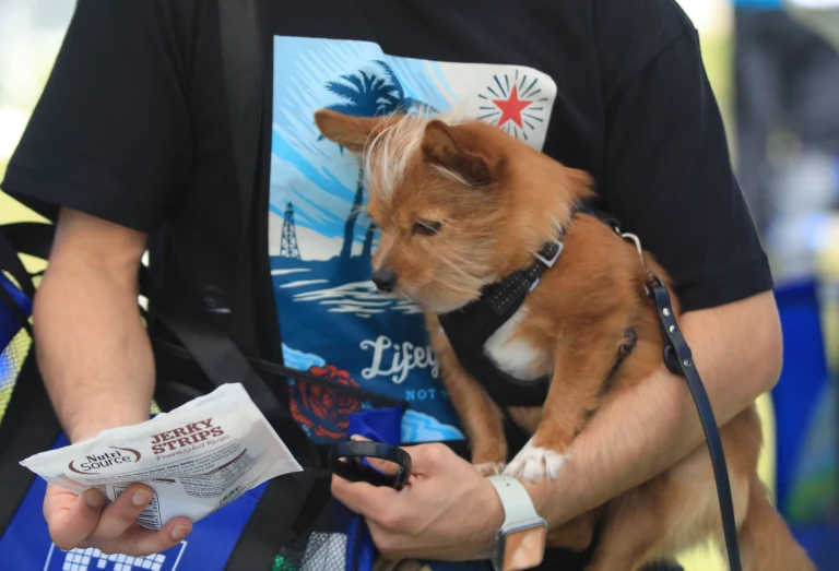 “Um… hello? These aren’t gluten-free. Try to keep up, Mom.”