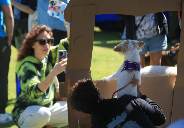 All howl Chloe Queen of WeHo, our first Pet Mayor! — source photograph 17