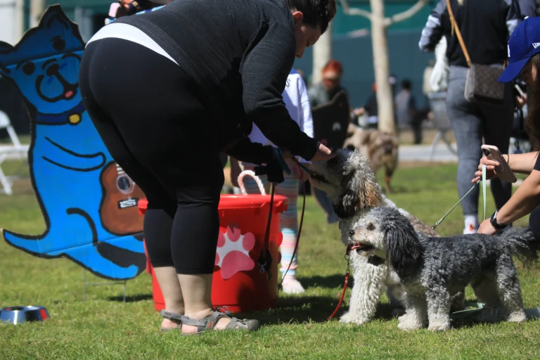 “Gross, Mom!!! The blue dog is sticking a guitar up your butt!”