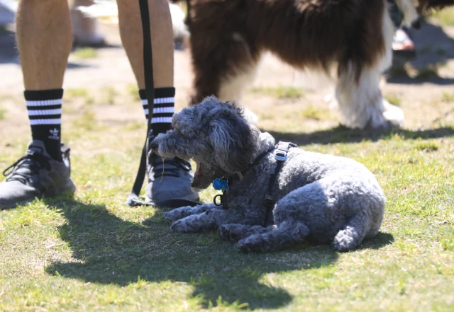 “Yes, Dad, right there. Don’t move. Actually, get me a smoothie please?”