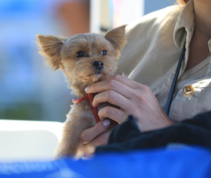 Alan has deep misgivings about WeHo’s municipal government.