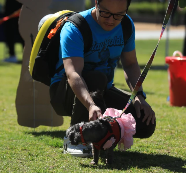 All howl Chloe Queen of WeHo, our first Pet Mayor! — source photograph 39