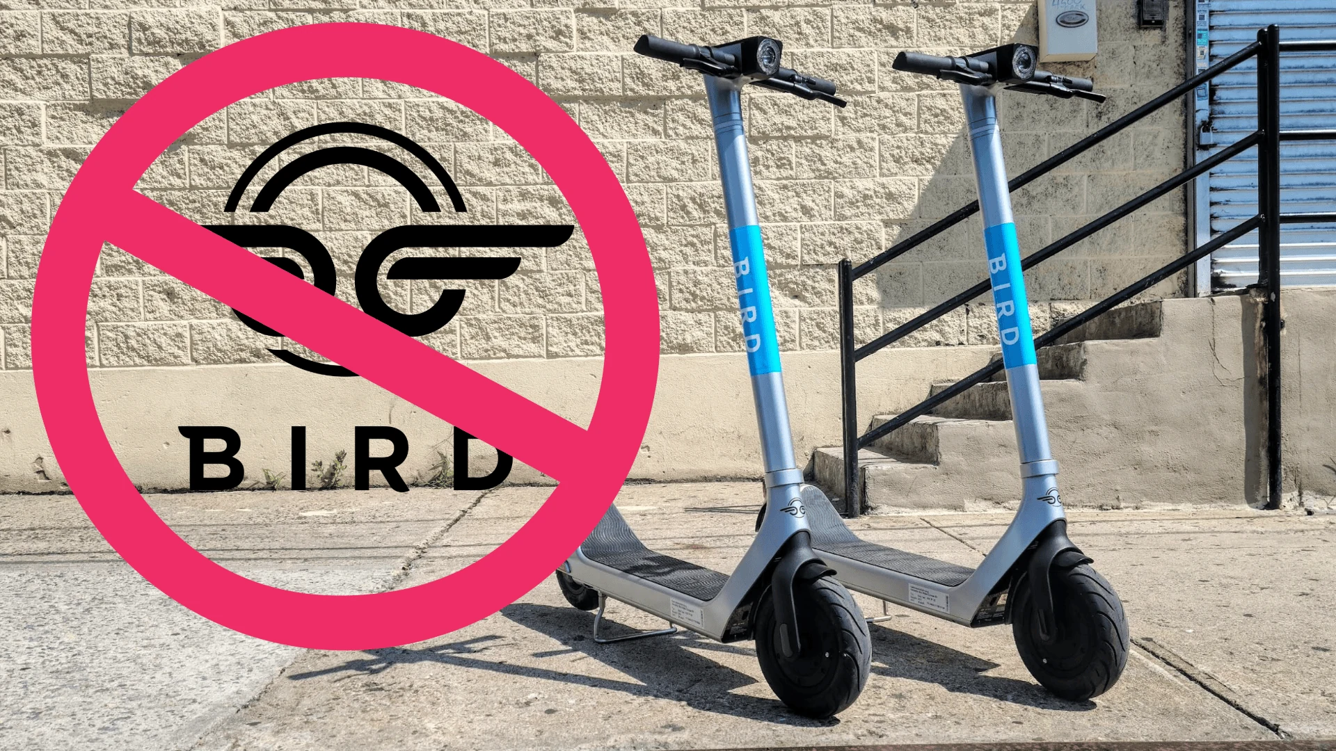 Bye Bye Bird: WeHo won’t renew scooter company’s contract — source photograph 1