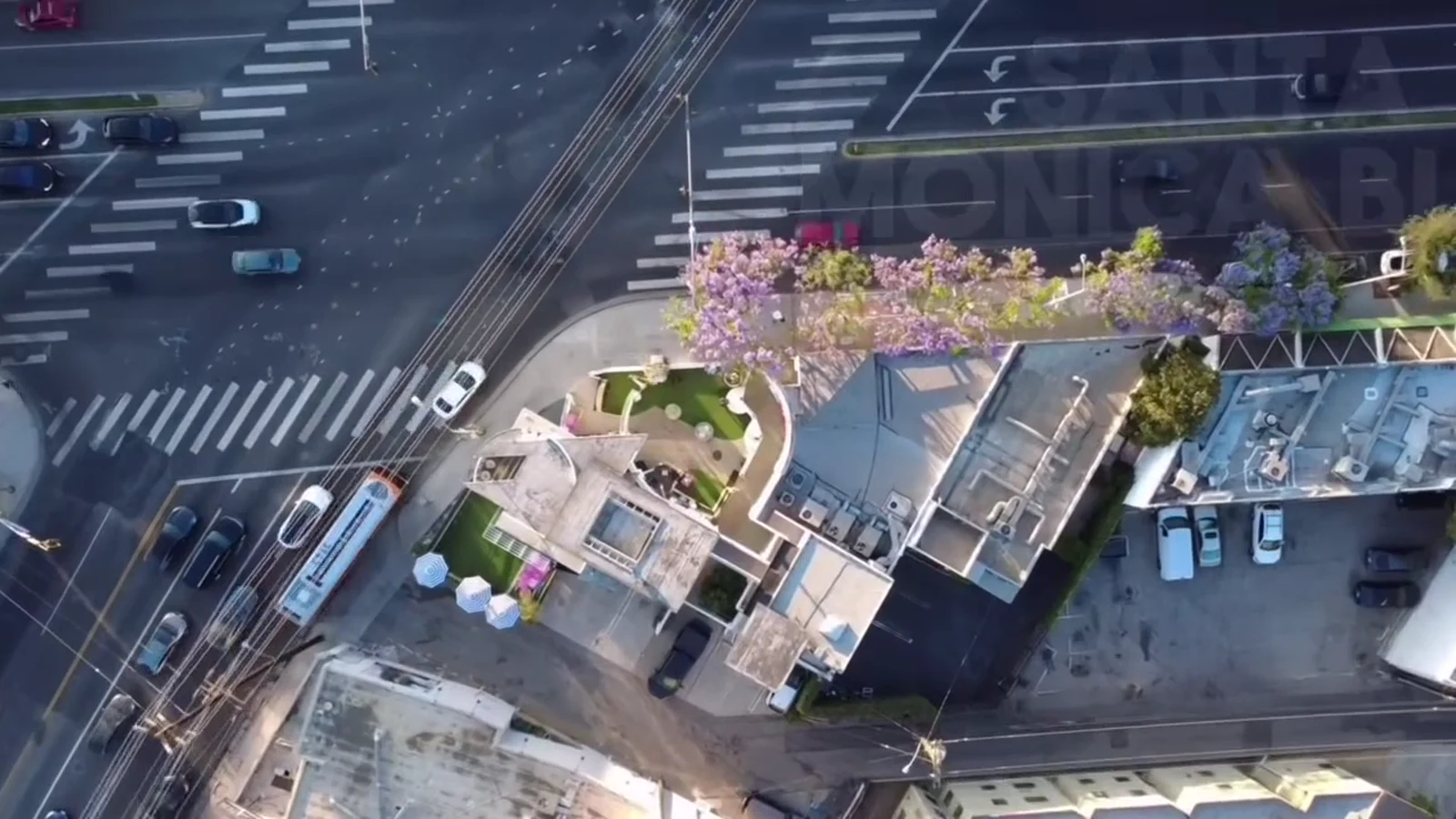 Flagship Store Drone Video — The Collar Club - West Hollywood, California - 2025