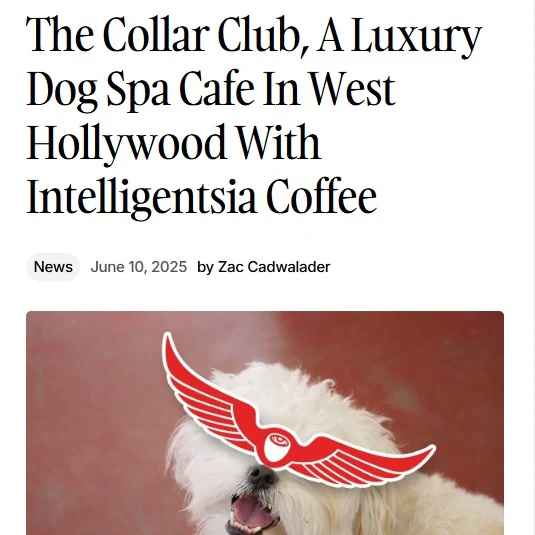 Media Coverage — Collar & Foam - West Hollywood, California - 2025