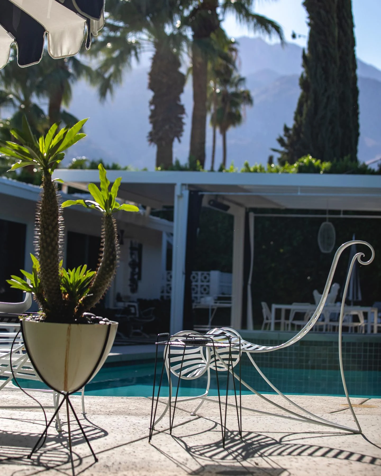 Palm Springs — photography